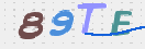 CAPTCHA (Şahıs Denetim Kodu) Resmi